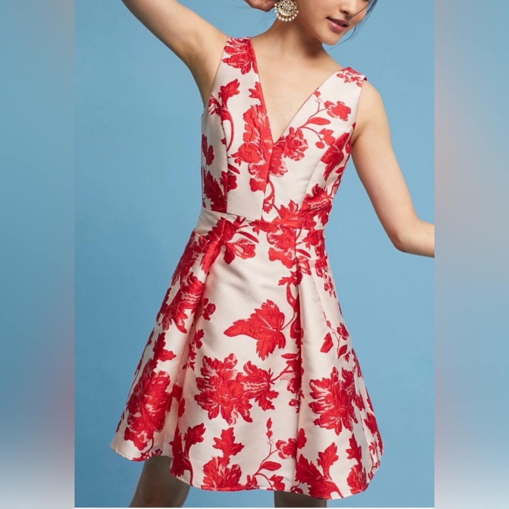 Anthropologie Dress - Eva Franco NWT 2P